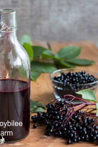 A bottle of elderberry syrup on a wooden table, with fresh elderberries in the background