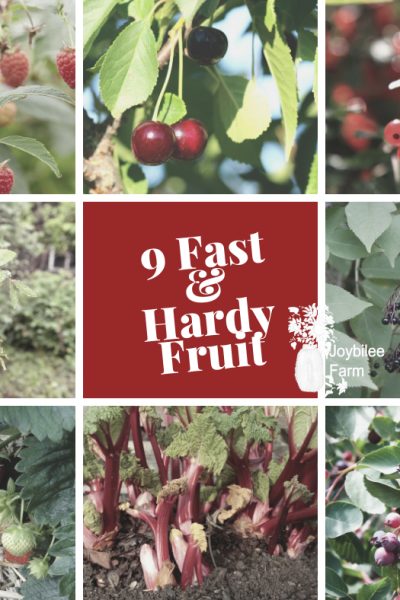 9 hardy fruit