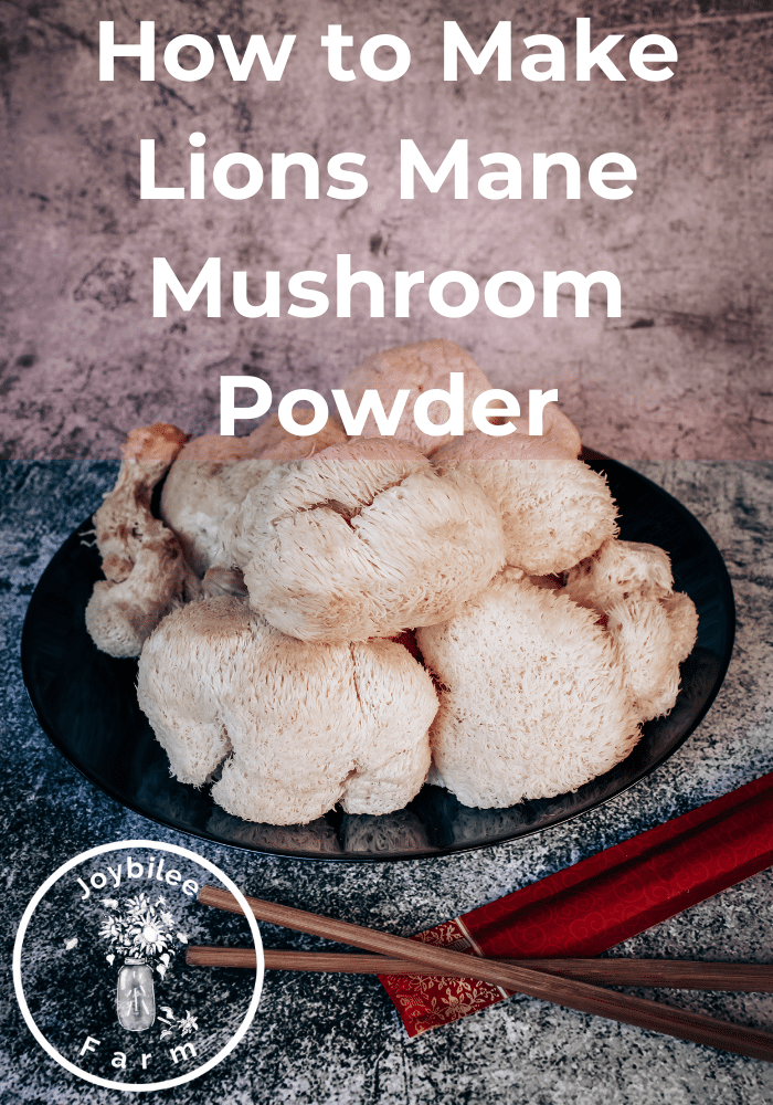 Mushroom Powder - How to Make and Use It in Your Kitchen