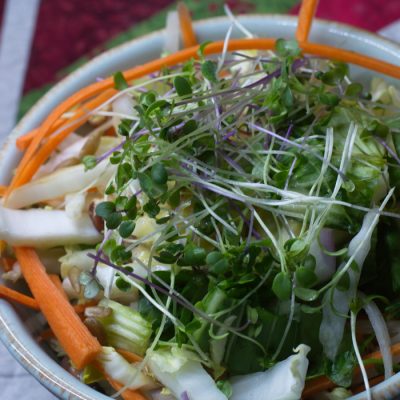 30 Best Microgreen Recipes For Fresh Flavor Year Round