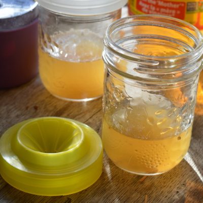 The Easiest Fruit Fly Trap that Actually Works