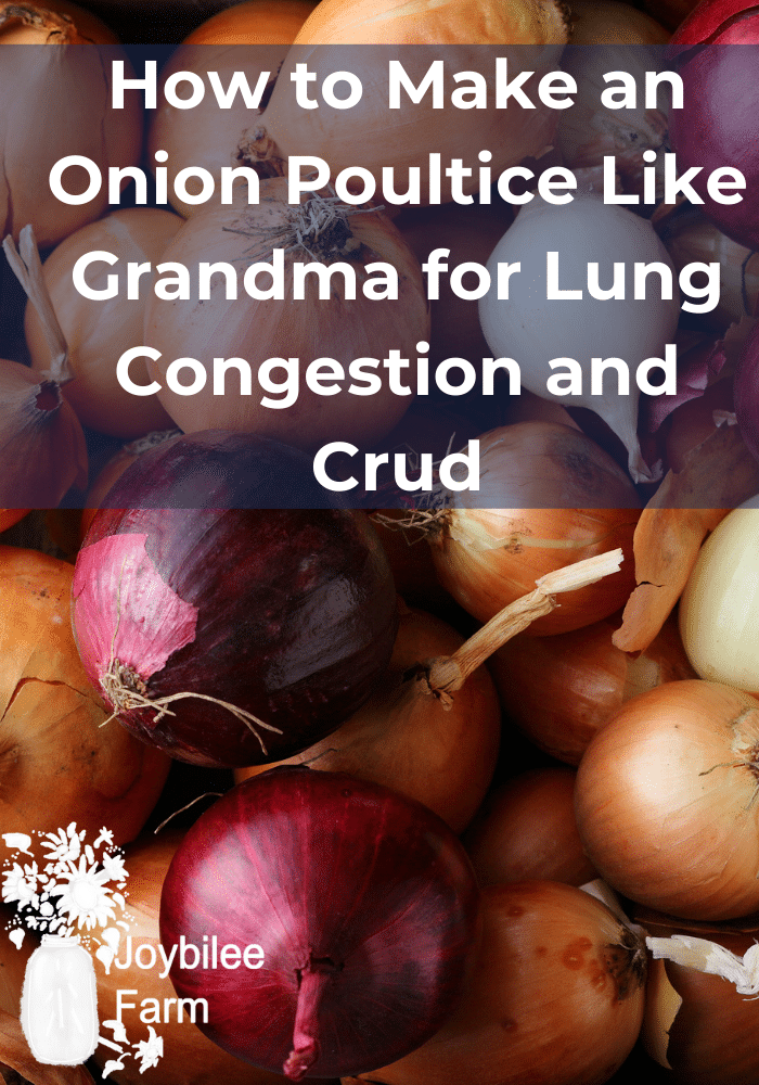 How to Make an Onion Poultice for Lung Congestion and Crud