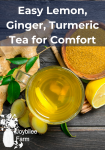 lemon ginger turmeric tea ingredients on a dark background