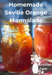seville orange marmalde in jars with sunlight glinting through it