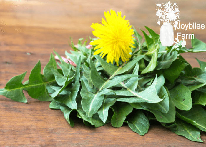 a pile of dandelion greens with a flower on top of a wooden background