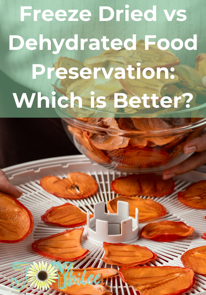 Freeze Dried vs Dehydrated Food Preservation: Which is Better?