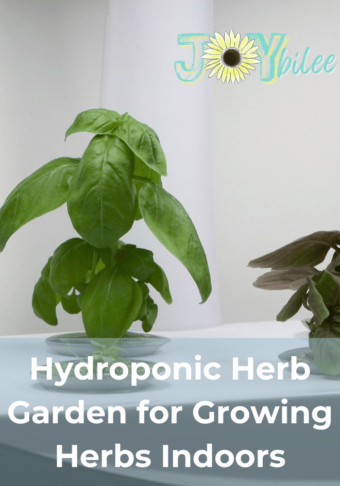 Hydroponic Herb Garden for Growing Herbs Indoors - Joybilee