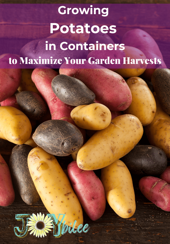 Grow Potatoes in Containers & Bags: 8 Best Secrets! - A Piece Of Rainbow