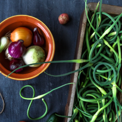 Harvesting and Using Garlic Scapes