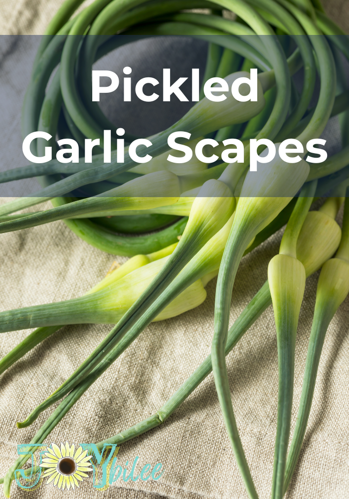 Pickled Garlic Scapes - Joybilee® Farm | DIY | Herbs | Gardening