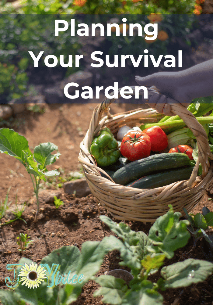 harvesting from the garden. All gardens can be a survival garden.