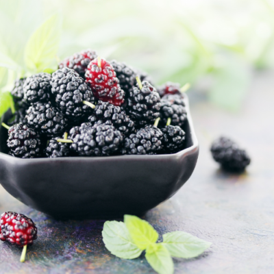 How to Grow a Mulberry Tree from Seed