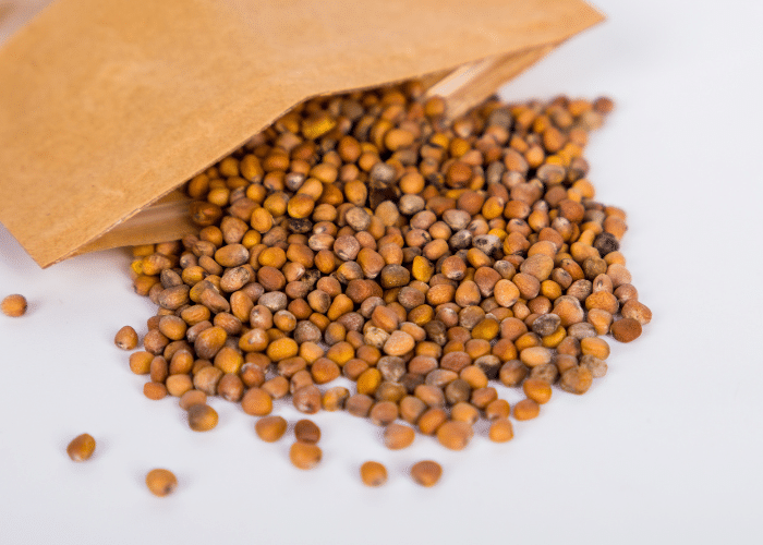 Seed saving can give many seeds that look similar, seeds pouring out of a brown envelope, could be radish, kolrabi, kale, or similar.