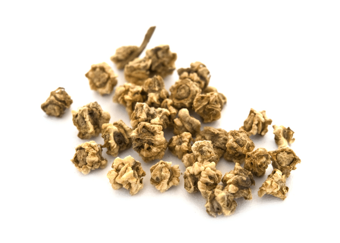 seed saving beet seeds, each seed nodule has multiple beet seeds within. Beet seed nodules on a white background.