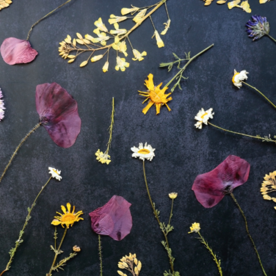 How to Make Pressed Flowers From Your Garden