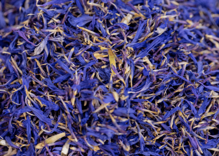 edible flower petals from dried bachelor buttons flowers.