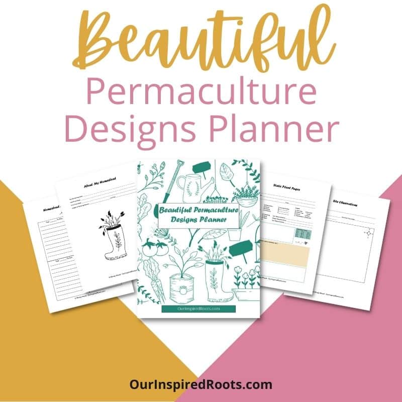 Beautiful-Permaculture-Designs-AAP