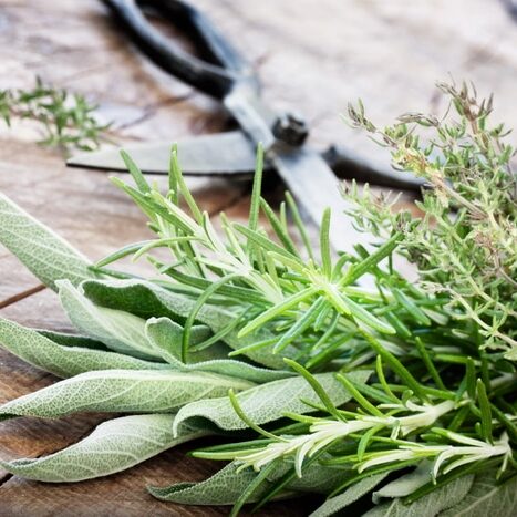 Freshly cut sage and rosemary