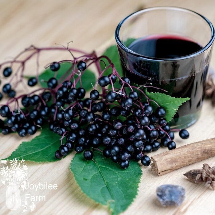 Glass of fresh elderberry syrup with cinnamon stick, brown sugar, star anise and elderberries on a wooden kitchen counter